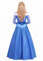 Disney Sleeping Beauty Aurora Blue Dress Costume Alt 2