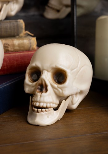 Bag of Halloween Skulls with Moving Jaws Decoration | Skeletons and Skulls