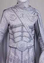 Boys Turned to Stone Warrior Costume Alt 6