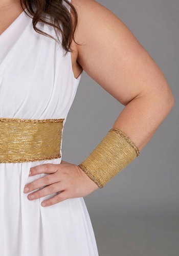 Plus Size Gentle Beauty Goddess Women's Costume | Historical Costumes