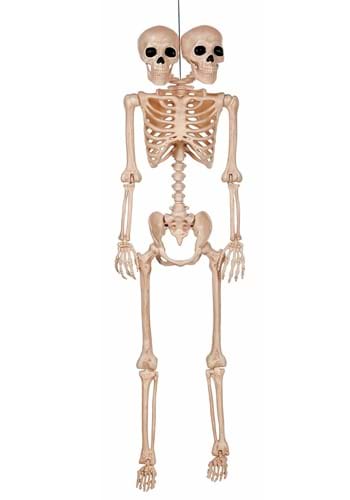 5FT Double Head Pose-N-Stay Skeleton