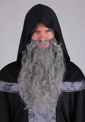 Men's Regal Dark Court Wizard Robe Costume | Wizard Costumes