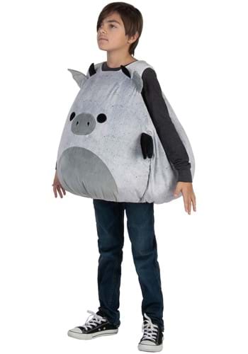 Gio the Gargoyle Squishmallows Kid's Costume | Toy Costumes