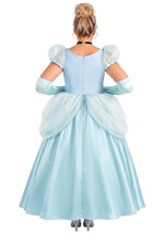 Plus Size Deluxe Disney Cinderella Costume Dress Women Alt 1