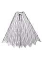 Adult Black Sheer Cobweb Costume Cape