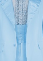 Mens Premium Harry Dunne Blue Dumb Dumber Costume Alt 7