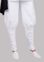 Adult Raiden Mortal Kombat Costume Alt 9