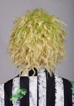 Adult Authentic Beetlejuice Costume Alt 4