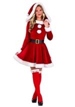 Sexy Womens Santa Costume