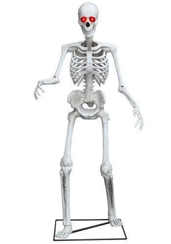 5FT Skeleton Light Up Decoration | Skeleton Decorations