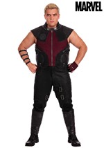 Plus Marvel Avengers Deluxe Hawkeye Costume Mens 1