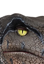Adult Life-Sized Realistic Raptor Costume Alt 17