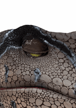 Adult Life-Sized Realistic Raptor Costume Alt 3