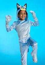 Bluey Toddler Deluxe Costume Alt 5