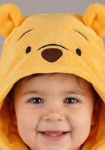 Infant Deluxe Disney Winnie the Pooh Costume Alt 1