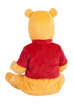 Infant Deluxe Disney Winnie the Pooh Costume Alt 2