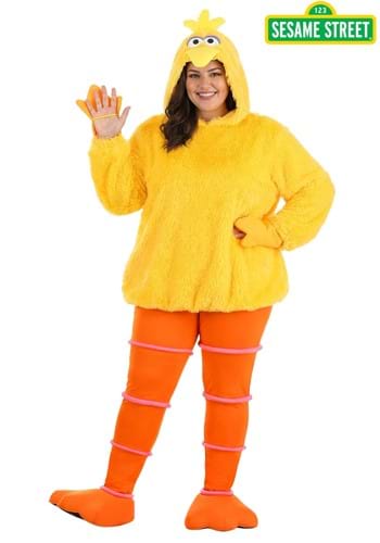 Plus Size Womens Cozy Big Bird Costume