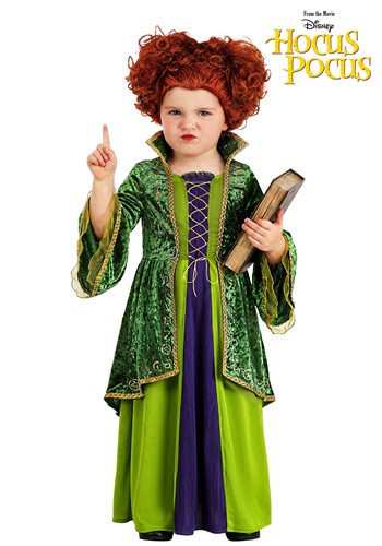 Toddler Disney Winifred Sanderson Deluxe Costume 1