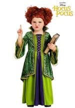 Toddler Deluxe Disney Winifred Sanderson Costume