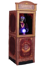 Sabrina the Fortune Teller Animatronic Decoration Alt 2