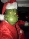 grinch costume for adults plus size