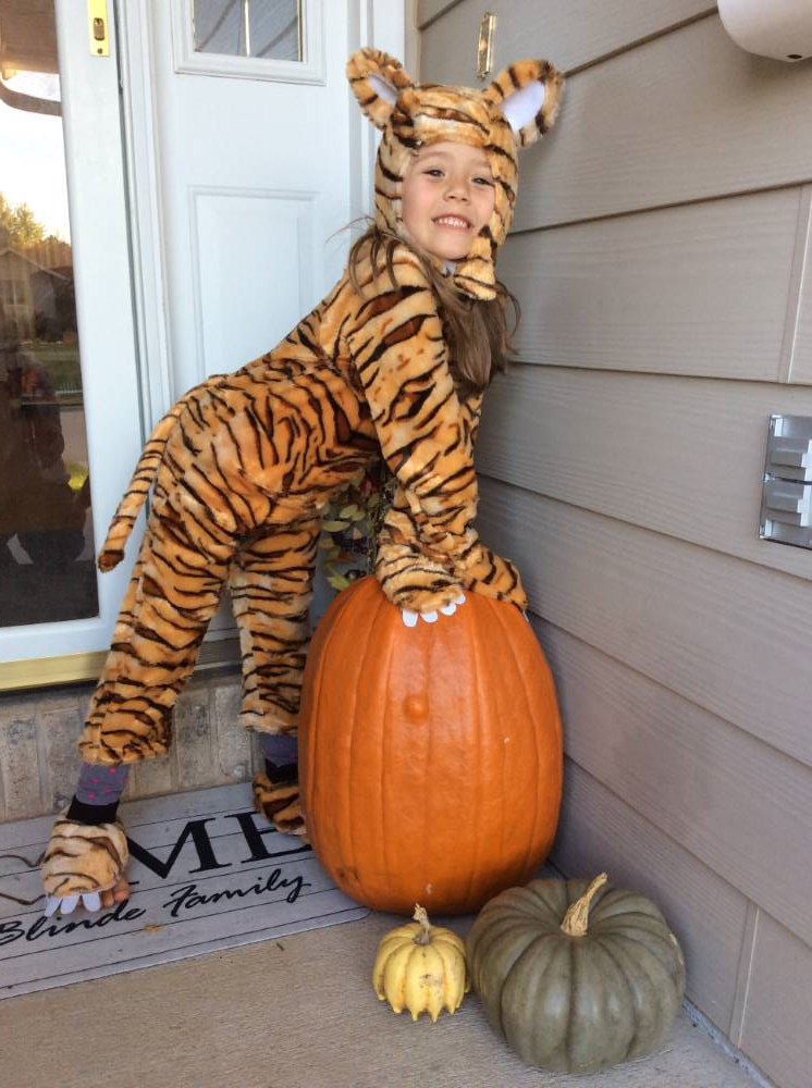 Kid's Tiger Costume