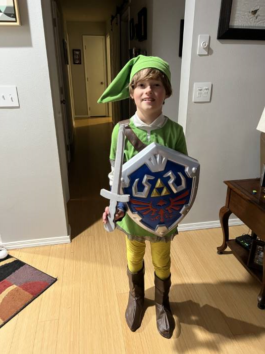 Zelda Link Deluxe Child Halloween Costume 