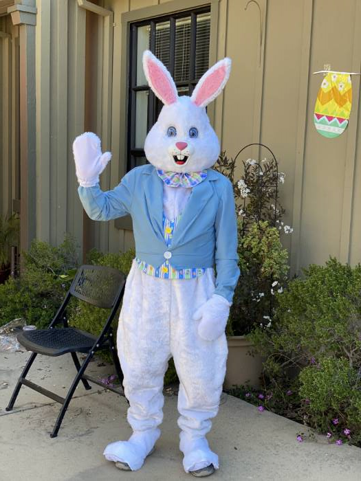 California Costumes Mens Deluxe Easter Bunny Costume 