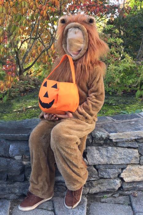 Book Week Party Halloween *NEW* Kids Safari Wrap 'n' Ride Plush Lion Costume 