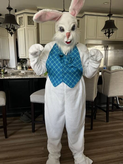 Realistic Easter Bunny JUMBO FAKE CARROT Funny Rabbit Halloween costume Prop-NEW 