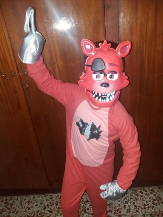 Boy Five Nights At Freddy's Foxy Halloween Costume Large 