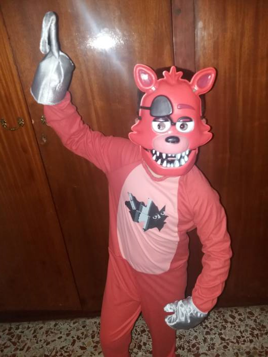 FNAF Foxy Fancy Dress Five Nights at Freddy's Childrens Kids