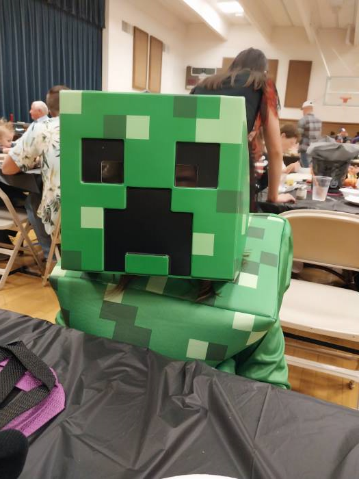 Minecraft Adaptive Steve Costume for Kids