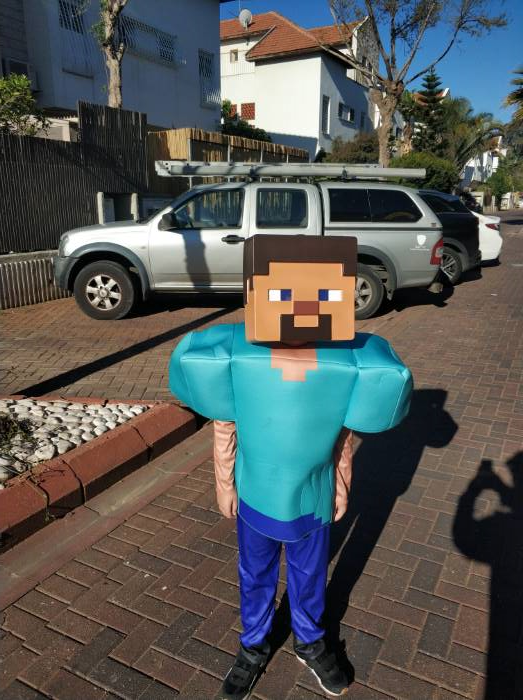 Minecraft Steve Deluxe Costume for Boys