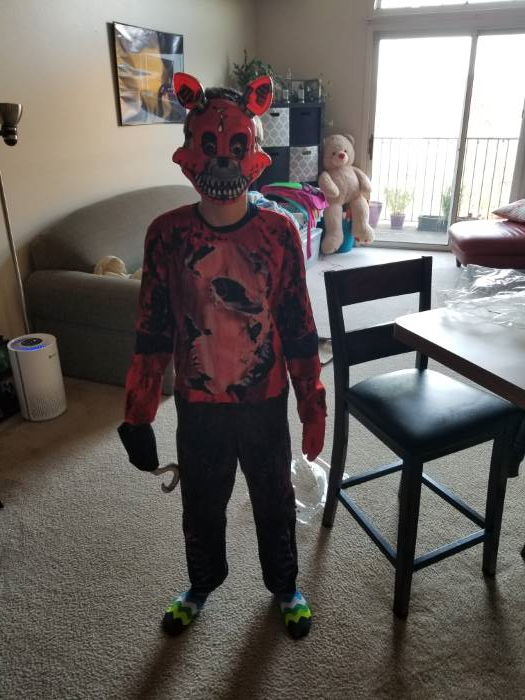 Boy Five Nights At Freddy's Foxy Halloween Costume Large 