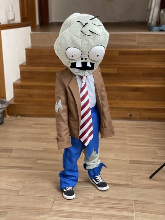 Kids Plants vs Zombies Zombie Costume