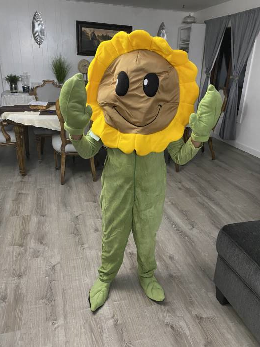  Plants Vs. Zombies Sunflower Costume for Kids Large : Clothing,  Shoes & Jewelry