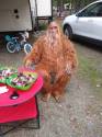 Adult Jack Links Sasquatch Costume