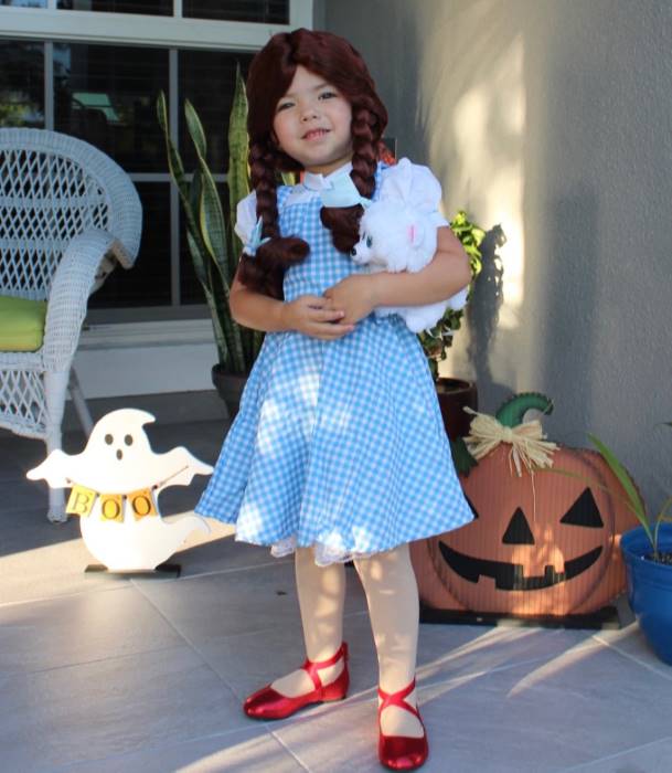 Classic Dorothy Wizard of Oz Toddler Costume | Dorothy Costumes