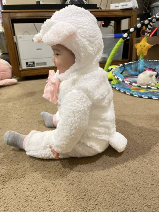 Pink and White Lamb Infant Costume 12-18M - Walmart.com