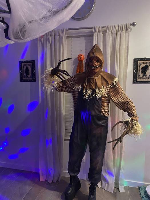 Sinister Scarecrow Men's Costume
