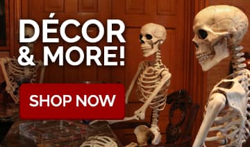 Halloween Decorations