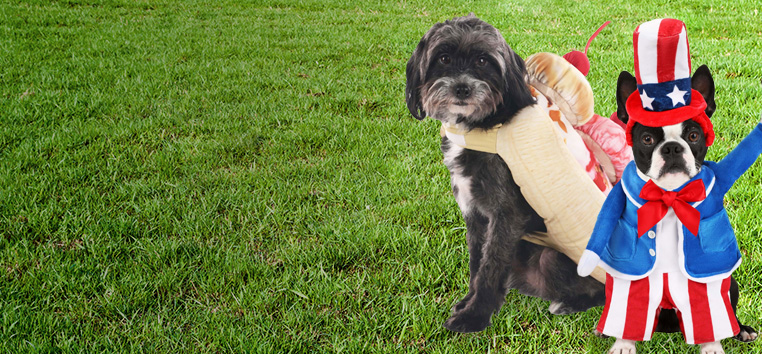 Dog Costumes