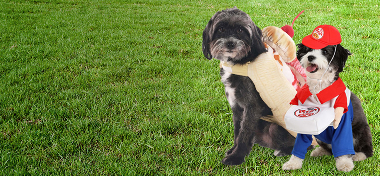 Dog Costumes
