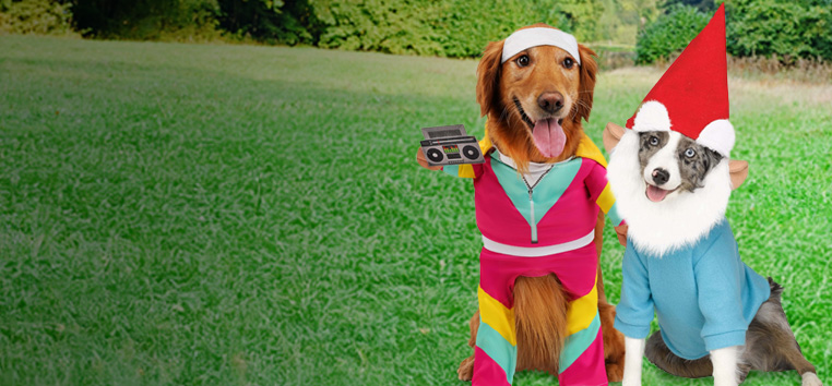 Pet Costumes