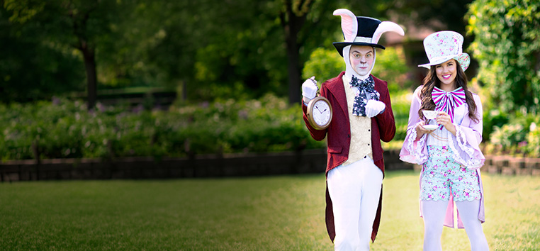 Alice in Wonderland costumes
